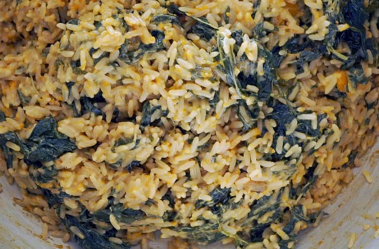 bhagi rice
