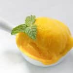 Mango Sorbet