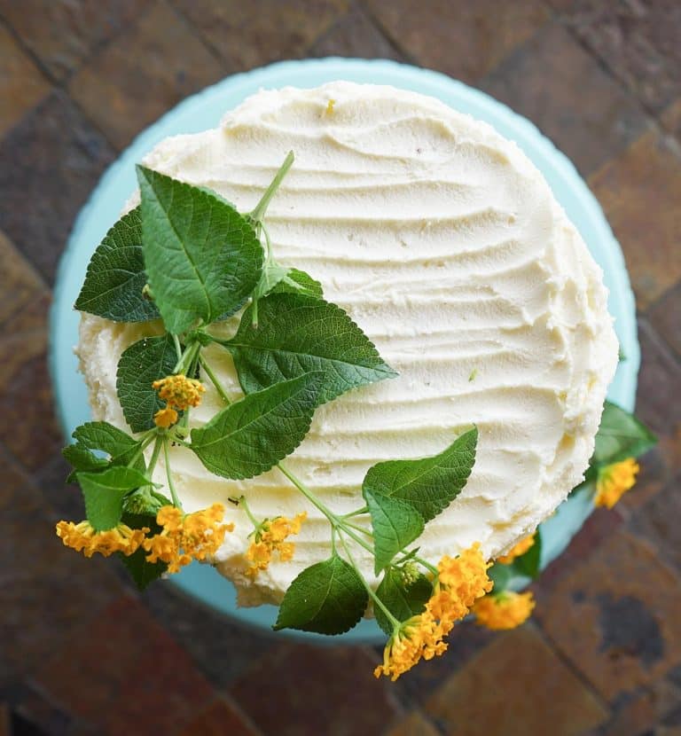 classic sponge cake with buttercream frosting