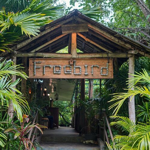 Freebird Restaurant