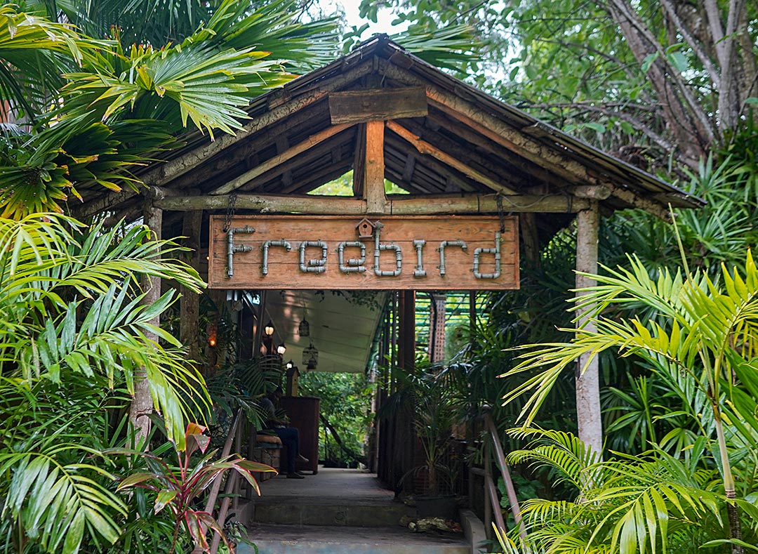 Freebird Restaurant