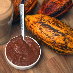 Raw Cocoa Cacao Paste