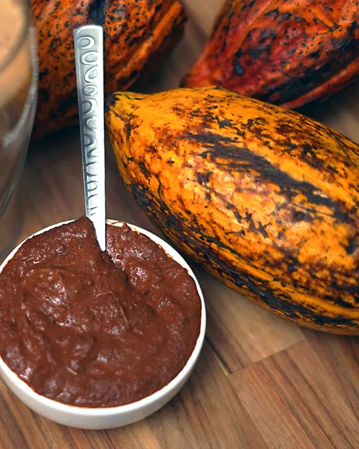 Raw Cocoa Cacao Paste